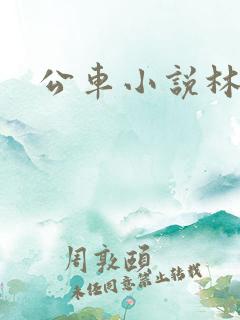 公车小说林蔓蔓