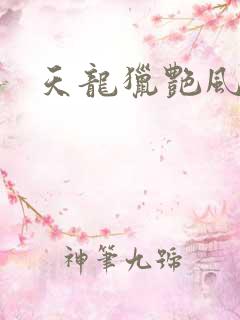 天龙猎艳风流