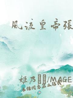 风流皇帝张无忌