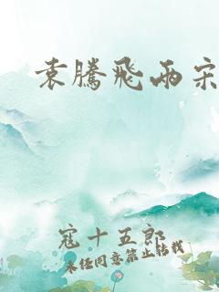 袁腾飞两宋风云