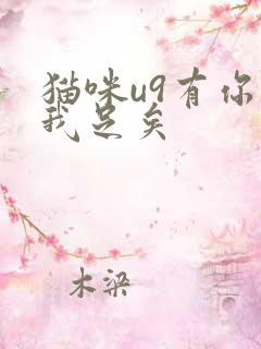 猫咪u9有你有我足矣
