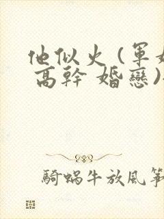 他似火 (军婚 高干 婚恋)全文在线阅读