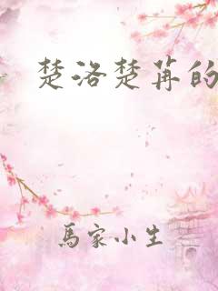 楚洛楚苒的小说