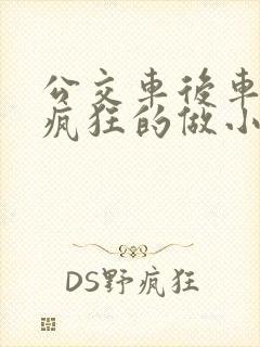 公交车后车座的疯狂的做小