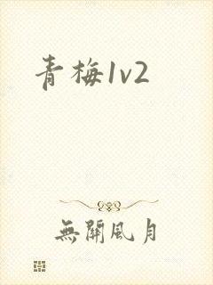 青梅1v2
