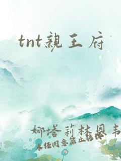tnt亲王府