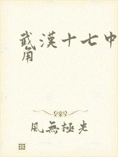 武汉十七中女主角