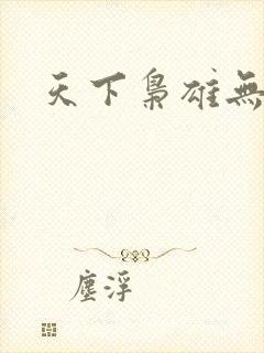 天下枭雄无弹窗