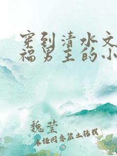 穿到清水文里造福男主的小说