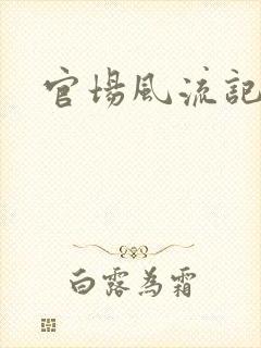 官场风流记