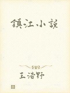 镇江小说