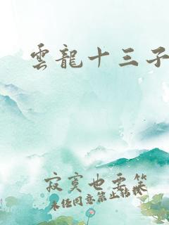云龙十三子
