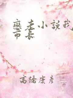 恋老小说我和老市长