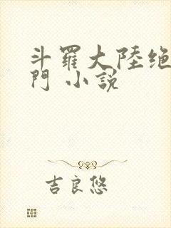 斗罗大陆绝世唐门 小说