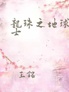 龙珠之地球人战士