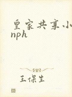 皇家共享小公主nph