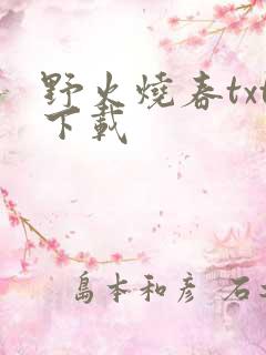 野火烧春txt下载