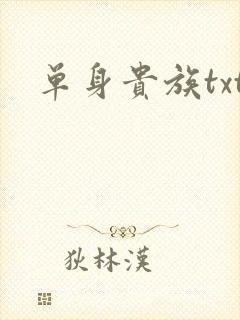 单身贵族txt