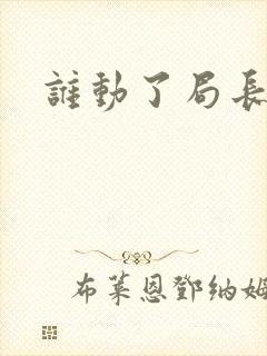 谁动了局长夫人