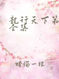 龙行天下第二部全集