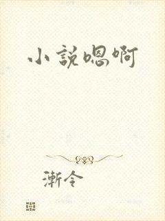 小说嗯啊