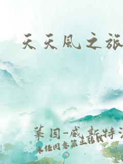 天天风之旅辅助