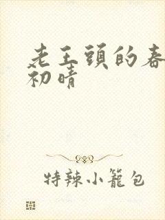 老王头的春天林初晴