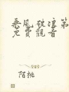 乘风破浪第五季免费观看