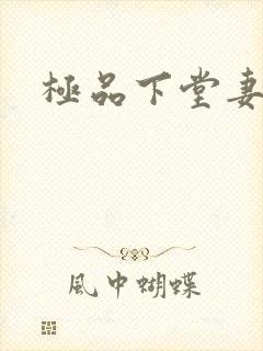 极品下堂妻