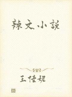 辣文小说