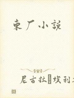 东厂小说