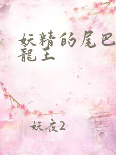 妖精的尾巴之幻龙王