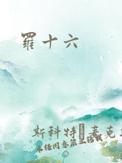 罗十六