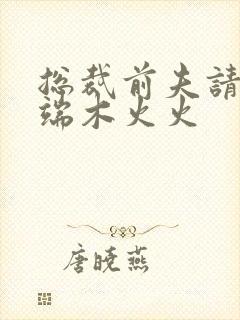 总裁前夫请自重端木火火