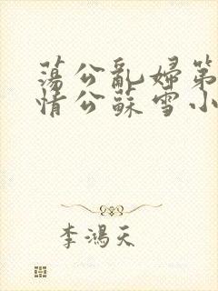 荡公乱妇第1章情公苏雪小说