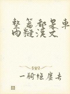 整篇都是车的多肉糙汉文