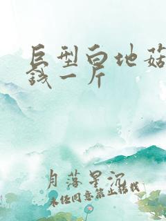 巨型白地菇多少钱一斤