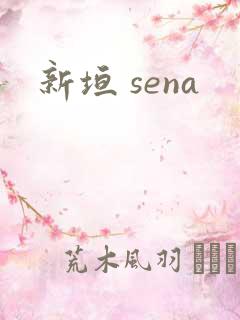 新垣 sena