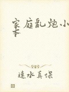 家庭乱炮小说全本