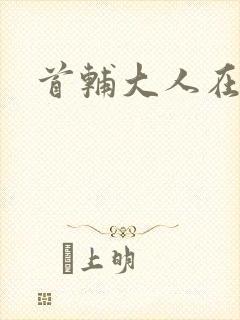 首辅大人在上
