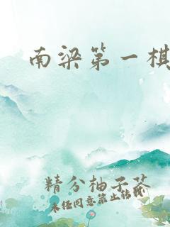 南梁第一棋手