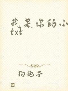 我是你的小小狗txt