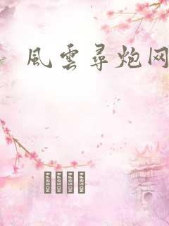 风云寻炮网