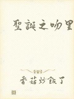 圣诞之吻里沙篇