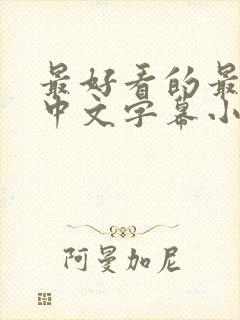 最好看的最新的中文字幕小说