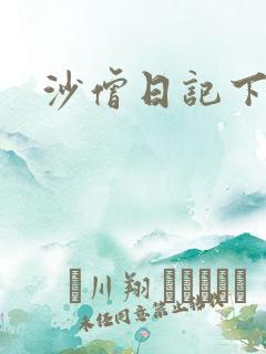 沙僧日记下载