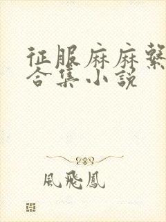 征服麻麻系列大合集小说