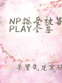 NP总受被各种PLAY全息