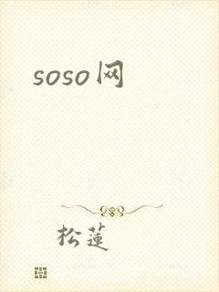 soso网