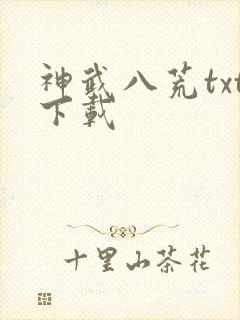 神武八荒txt下载